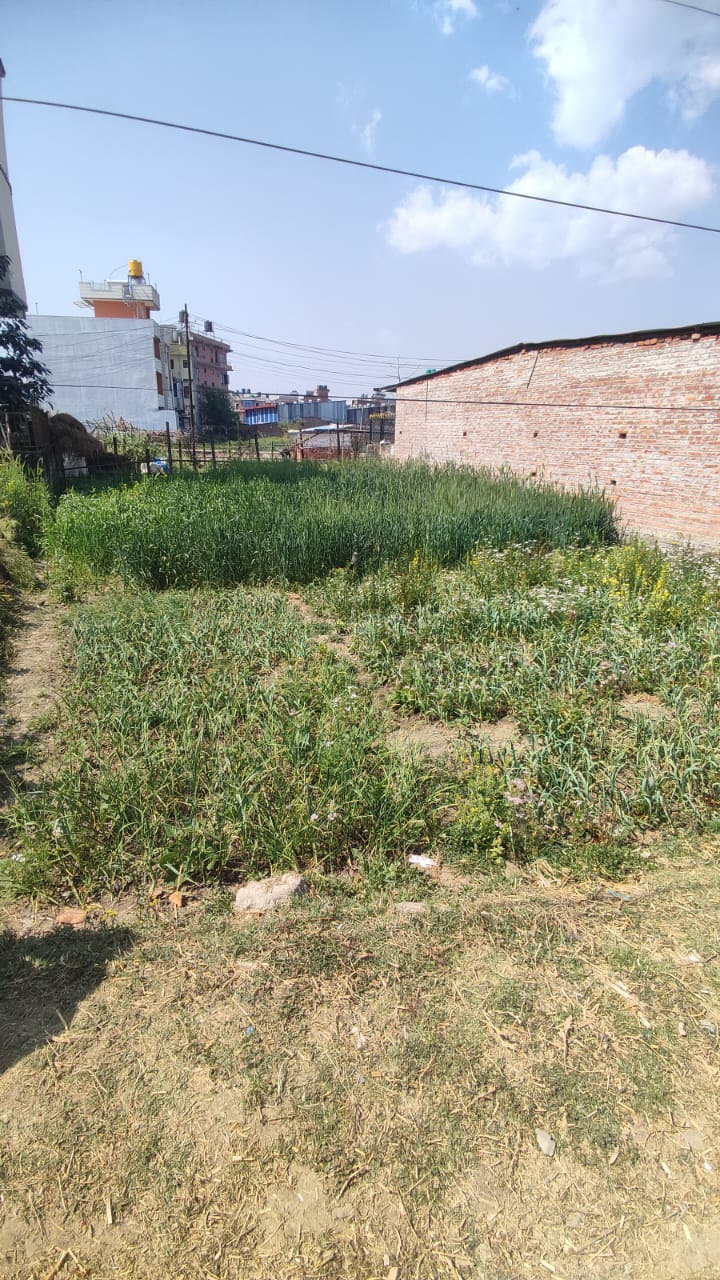 Picture of Mahalaxmi Municipality, Bagmati